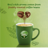 Bru Instant Coffee 100 g