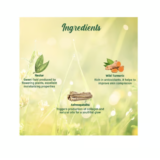 Biotique Morning Nectar Nourishing & Hydrate Body Lotion
