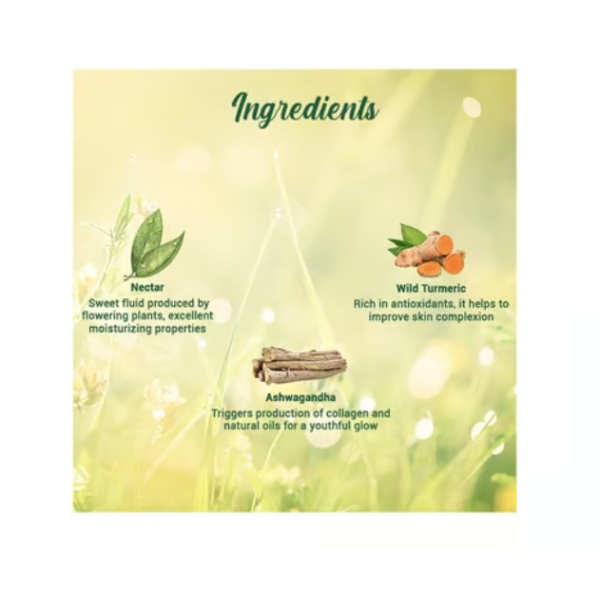 Biotique Morning Nectar Nourishing & Hydrate Body Lotion